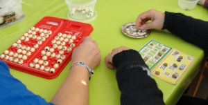 Centros de Dia e Clubes Sénior